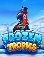 วิธีเล่นและฟีเจอร์เด็ดของ สล็อต joker789 ที่น่าสนใจ